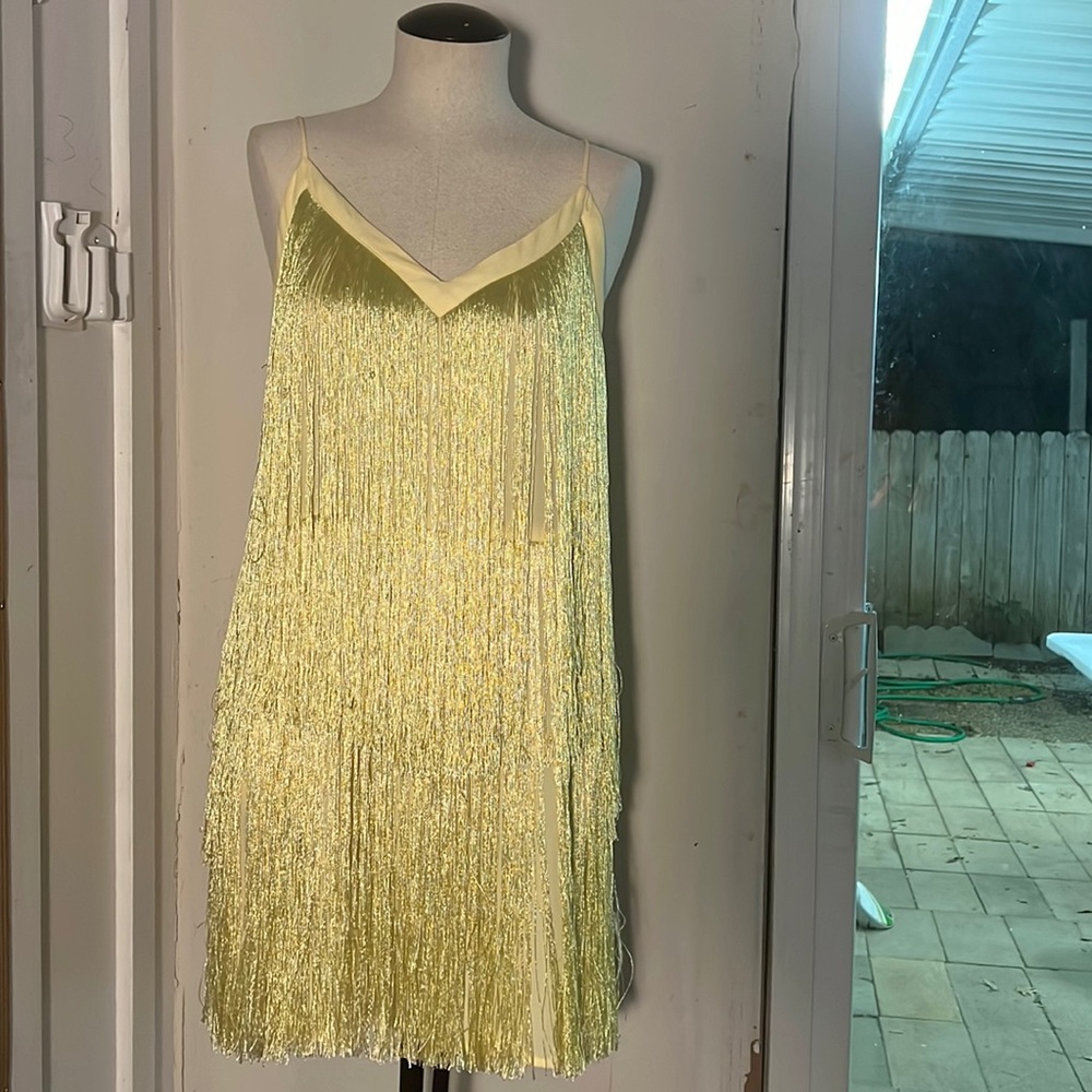 Fringe dress